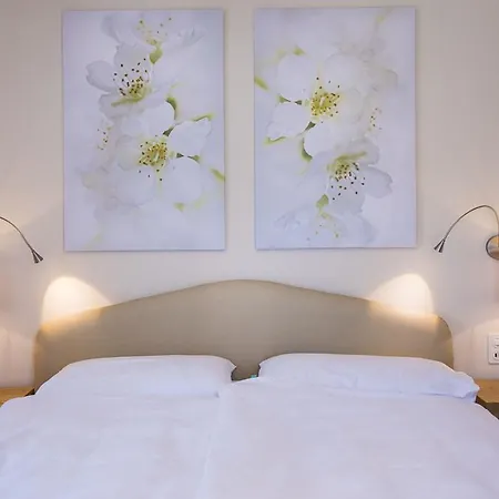 Otel Delta House Ascona